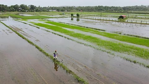 Unseasonal Rain in Vidarbha
