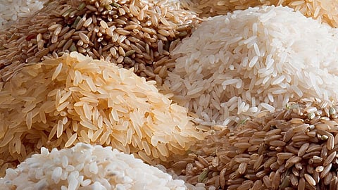 Rice Benefits