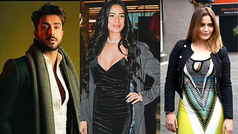 Tv Celebrity On Poonam Pandey