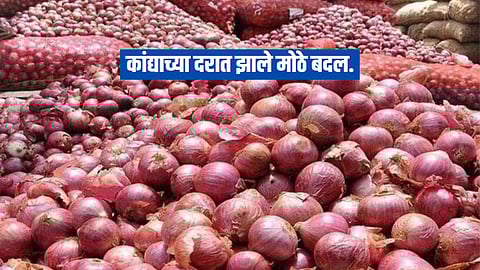 onion rate today maharashtra