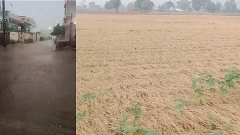 Unseasonal Rain