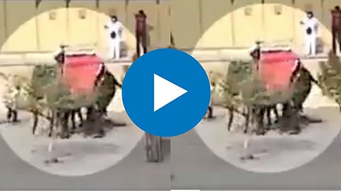 Viral Video