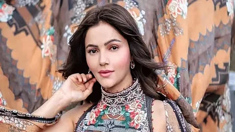 Rubina Dilaik Trolled