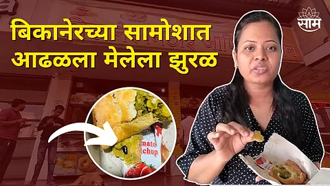 Bikaner Samosa Viral Video