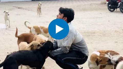 Viral Video