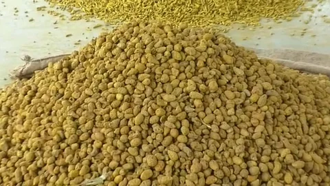 rise in turmeric price at risod bazar samiti near washim