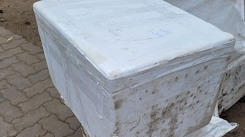 food and drugs administration caught fake paneer in nagpur