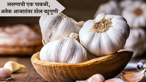 Garlic Benefits | Lasun Khanyche Fayde | Health Benefits of Eating Garlic (Lasun)