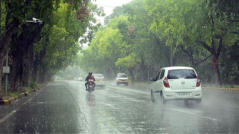 Nashik Rain News