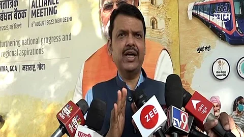 Devendra Fadnavis On Maharashtra Lok Sabha Election 2024