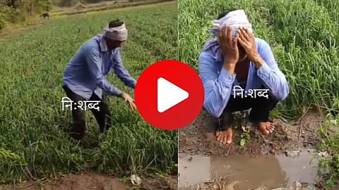 Farmer Crying Viral Video