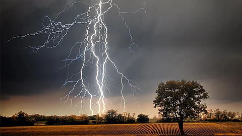 Lightning Strike : नळदुर्ग शिवारात विज पडुन दोन बैलाचा मृत्यू; शेतकरी महिलेचे नुकसान 