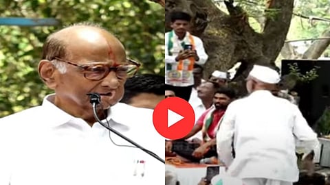 Sharad Pawar Speech: गुरुजी किती वय झालं? प्रचंड गर्दीतून शरद पवारांनी ९४ वर्षाच्या कार्यकर्त्याला ओळखलं; थेट नाव सांगितलं| VIDEO
