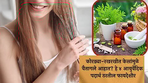 Herbs For Hair, Hair Care Tips
