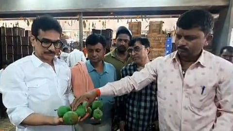 Mango Price in APMC Market Navi Mumbai: वाशी एपीएमसीत आंब्याची विक्रमी आवक, जाणून घ्या डझनाचा दर
