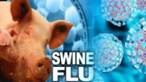 Swine Flu In Nashik