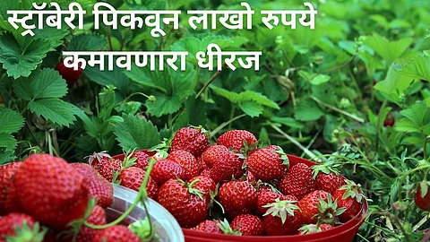 Inspiring Story Dheeraj Verma