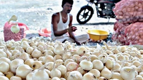 Onion Export News: गुजरातचा २ हजार मेट्रिक टन पांढरा कांदा होणार निर्यात; केंद्र सरकारचा निर्णय
