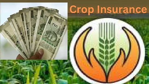 Crop Insurance