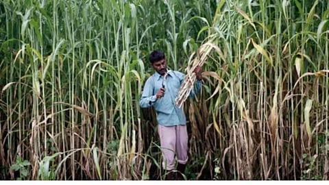 Ethanol Production From Sugarcane