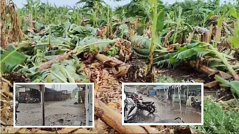 Maharashtra Rain News