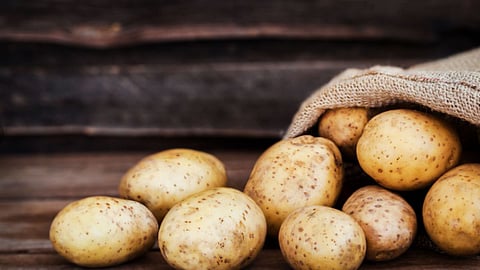 potato prices maharashtra