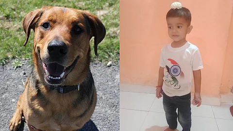 Nagpur Dog Attack on Child