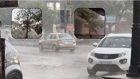 राज्यात वादळी वाऱ्यासह पावसाचं थैमान, रस्त्यावर झाडे पडली...पिकांसह घरांचे नुकसान; विद्युत पुरवठा खंडीत