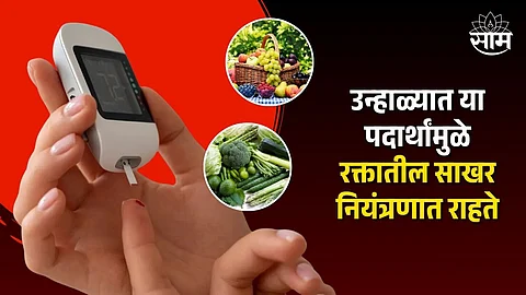 Blood Sugar Control Diet: उन्हाळ्यात डायबिटीज वाढतोय? आहारात या ५ पदार्थांचा समावेश करा, साखर नियंत्रीत राहिल
