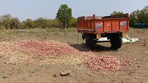 onions worth rs 1 lakh stolen from farmers tractor near nashik