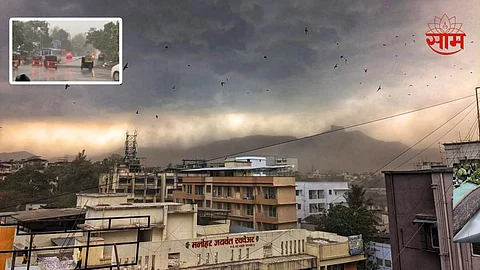 Maharashtra Rain News