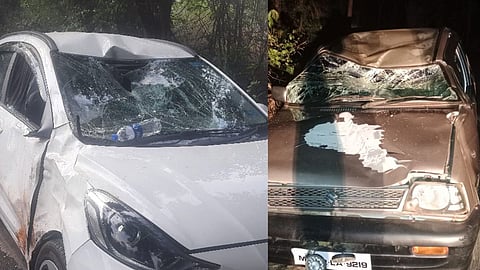 bison collision injures five near radhanagari and kolhapur