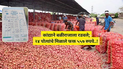 Solapur Onion Market News: