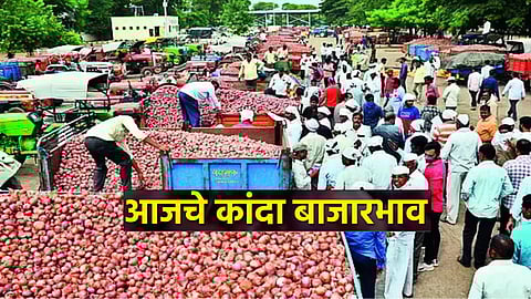 Onion Price News Today