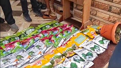 Bogus Seeds
