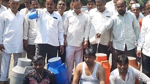Milk Price