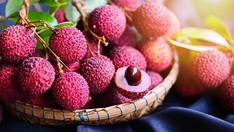 Lychee Benefits: स्किन केअरसाठी गोड रसरशीत लिची आहे वरदान; वाचा फायदे
