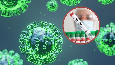 Bird Flu Virus: सावधान! पक्ष्यांमध्ये आढळणाऱ्या बर्ड फ्लूची मानवी शरीरात एन्ट्री; या राज्यात आढळला दुसरा रुग्ण