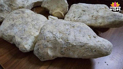 hinjewadi police arrests two along with whale fish vomit worth rs 3 crore 27 lakhs 60 thousand