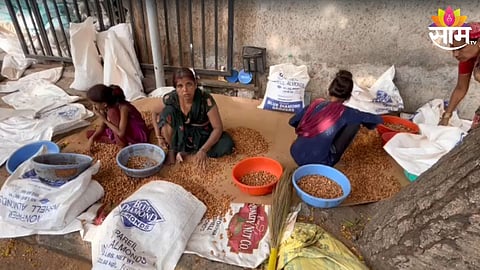 illegal almond factory at vashi apmc market navi mumbai