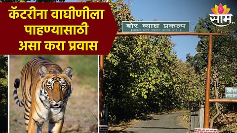 Bor Wildlife Sanctuary Tourist Places