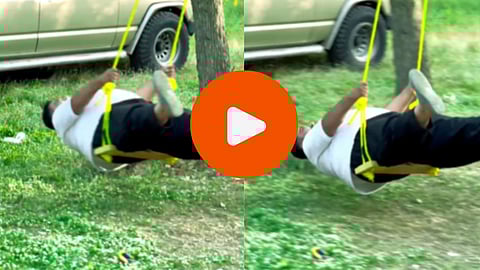 Funny Video: झोका घ्यायला गेलेल्या तरुणाने पूर्ण झाडच पाडले, व्हिडीओ पाहून तुम्हीही पोट धरून हसाल