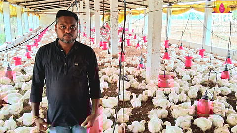 power cut cause 500 hundred chickens death bhandara youth blames mahavitaran