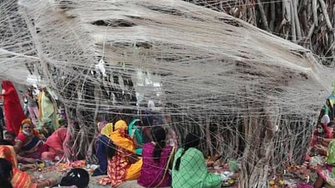 वडाच्या झाडाची पूजा करायला गेलेल्या महिलांवर मधमाशांचा हल्ला; जखमींवर उपचार सुरु