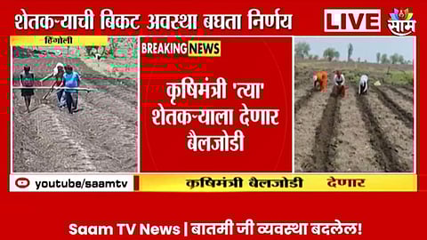 Saam Tv Impact Video: मुलाला औताला जुंपलेलं पाहून सरकार हळहळलं; साम टीव्हीच्या बातमीची मंत्रालयाने घेतली दखल, कृषिमंत्री देणार बैलजोडी