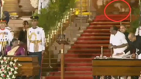 मोदी सरकारच्या शपथविधी सोहळ्यात बिबट्या? राष्ट्रपती भवनातील व्हिडिओने खळबळ