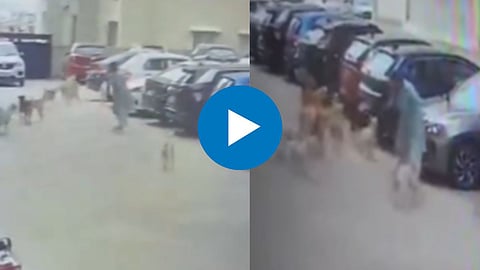 15 Dog Attack on Women