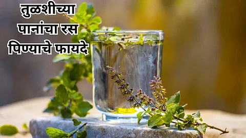 Benefits Of Tulsi Leaves
