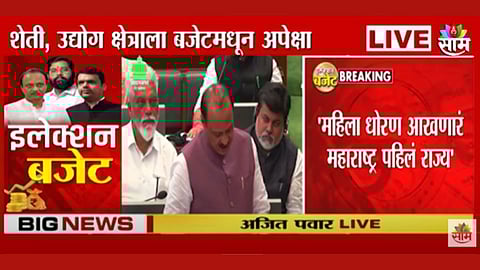 Maharashtra Budget 2024 Scheme: लाडकी बहीण, अन्नपूर्णा योजना, पिंक रिक्षा; अर्थमंत्री अजित पवार यांच्याकडून बजेटमधील १० महत्वाच्या घोषणा, VIDEO