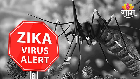 Zeeka Virus Symptoms, Treatment: जीवघेणा झिका व्हायरस आहे तरी काय? वाचा लक्षणे आणि उपाय